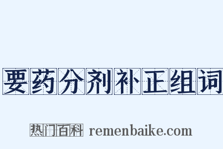 要药分剂补正组词是什么意思的图片